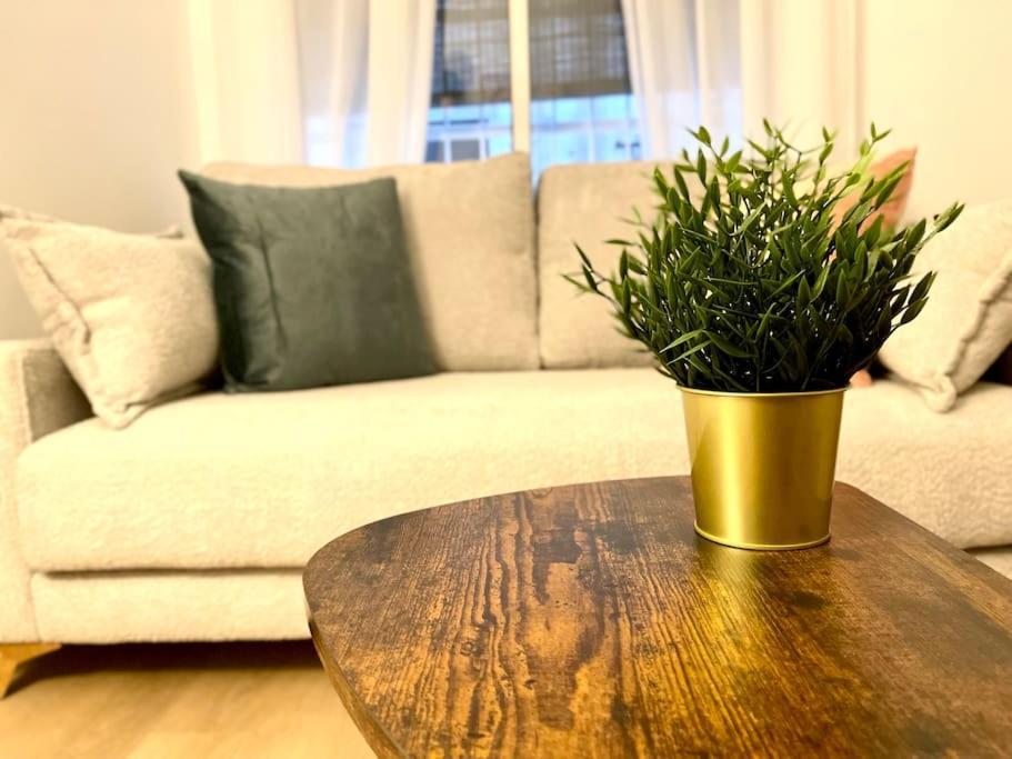 Elegancia Junto Al Rectorado. Διαμέρισμα Κόρδοβα Εξωτερικό φωτογραφία
